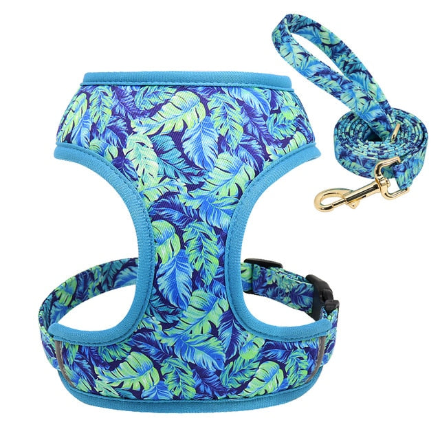 Roses Feathers Dog Harness Leash Set