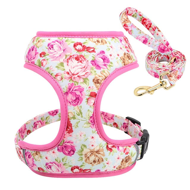 Roses Feathers Dog Harness Leash Set