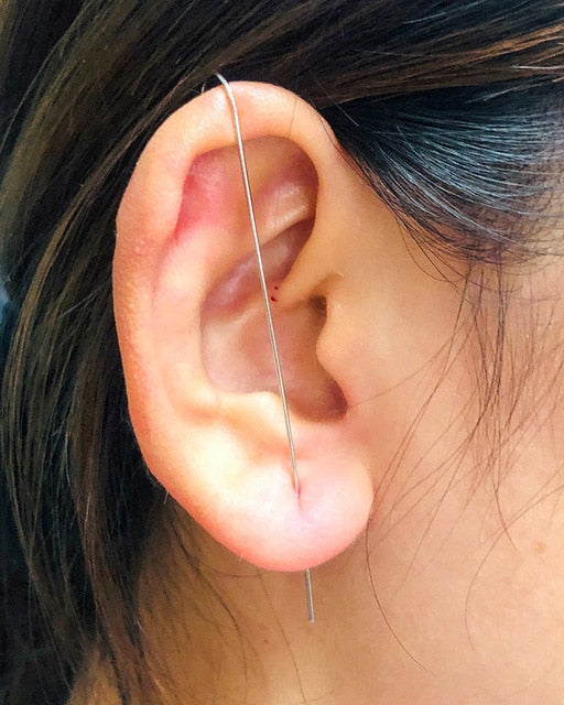 Bohemian Crystals Crawler Hook Earring