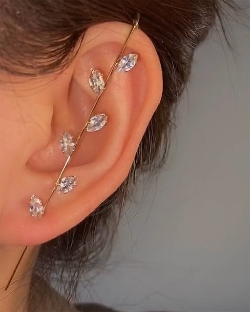 Bohemian Crystals Crawler Hook Earring