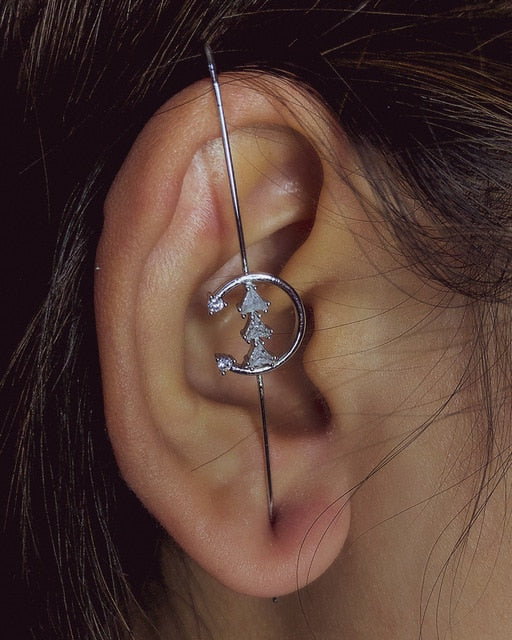 Bohemian Crystals Crawler Hook Earring