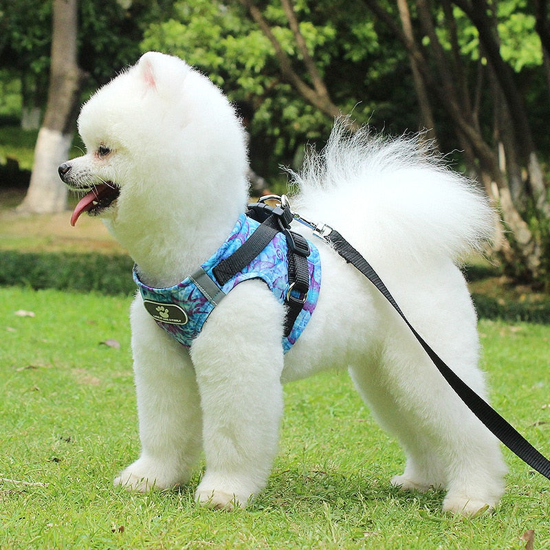 Dog Harness Vest Collar with Leash Set