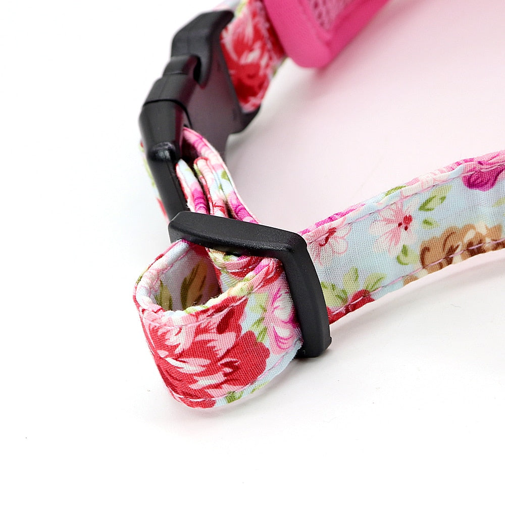 Roses Feathers Dog Harness Leash Set