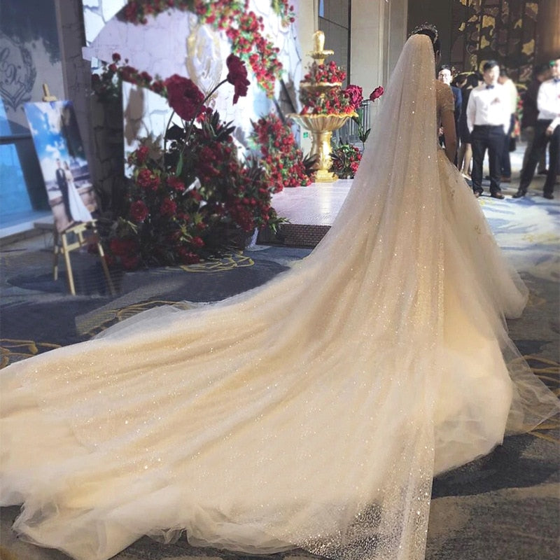 3M Black Starry Sky Glitter Cathedral Wedding Veil