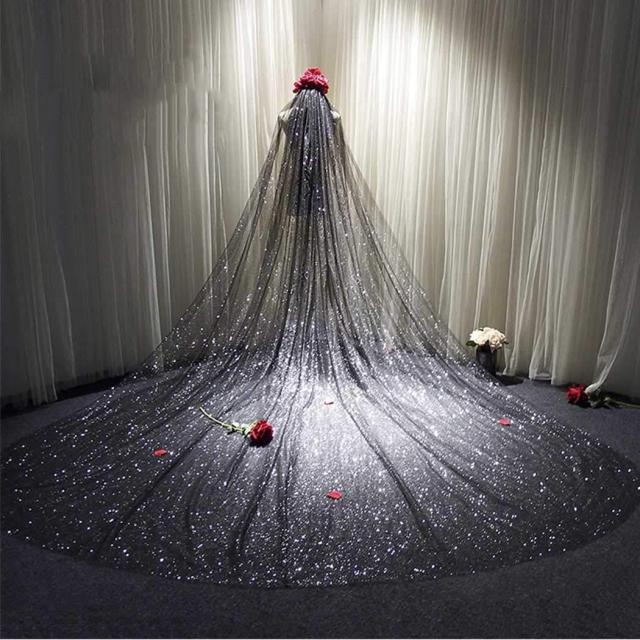 3M Black Starry Sky Glitter Cathedral Wedding Veil