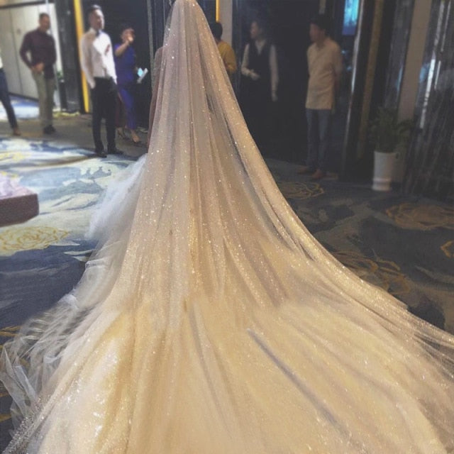 3M Black Starry Sky Glitter Cathedral Wedding Veil