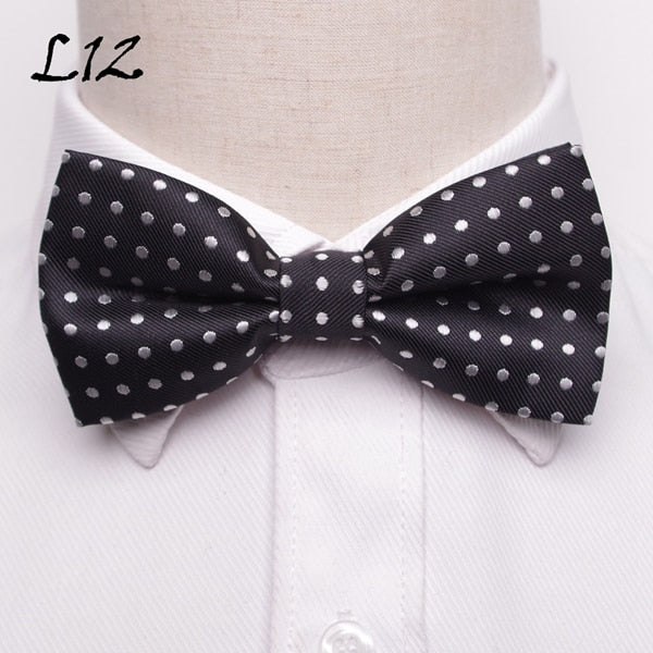 Polka Dots Stripes Mens Bowtie