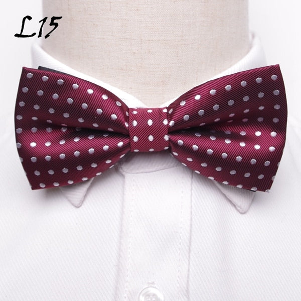 Polka Dots Stripes Mens Bowtie