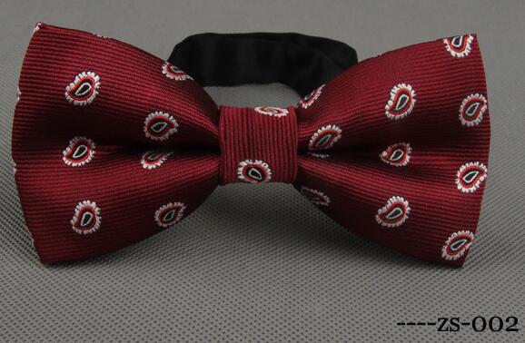 Paisley Bowknot Bowties Gift