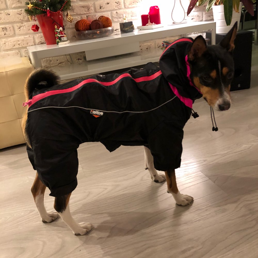 Dog Winter Warm Coat Pet Jacket Reflective Hoodies