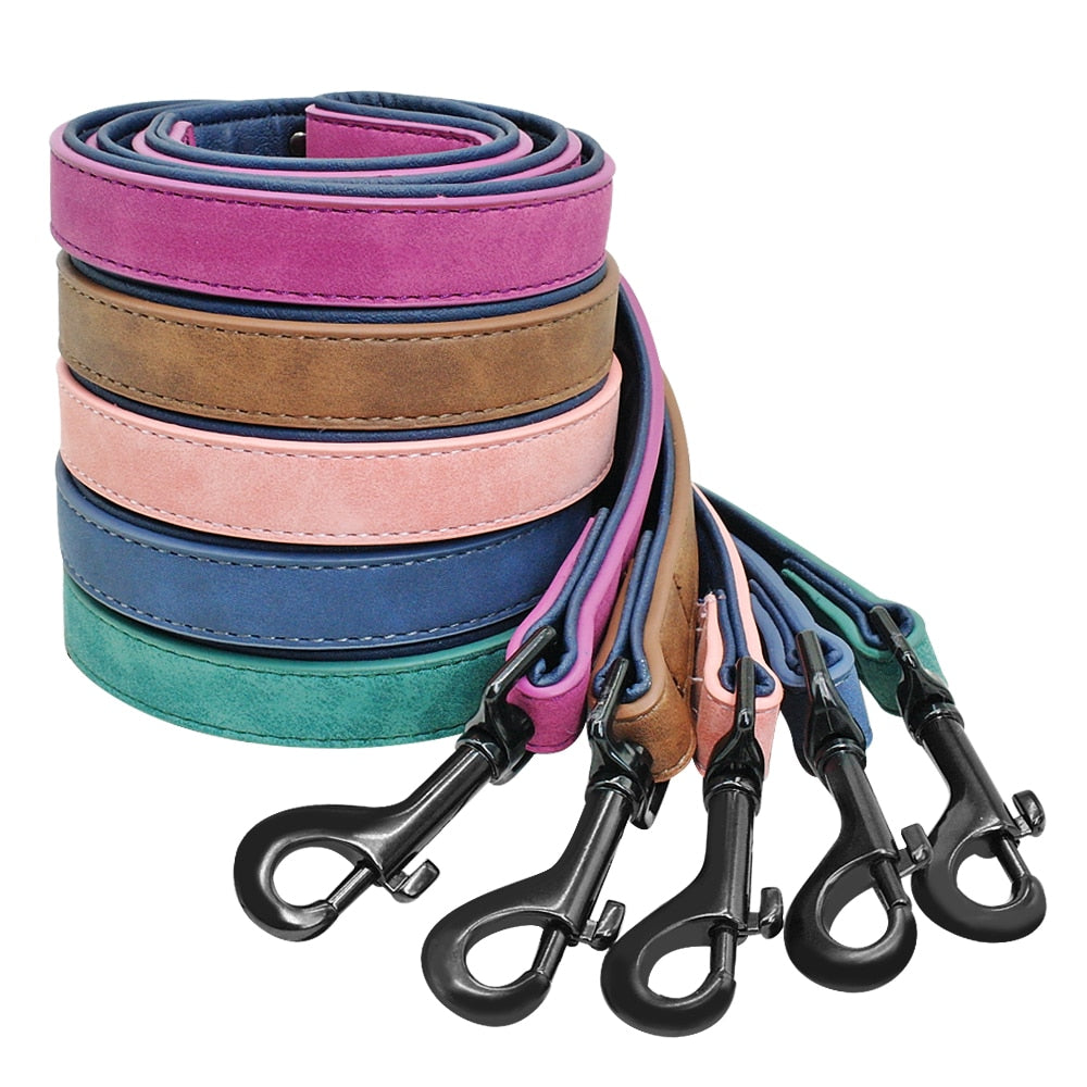 Leather Custom Personalized Pet Tag ID Name Collar/Leash