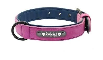 Leather Custom Personalized Pet Tag ID Name Collar/Leash