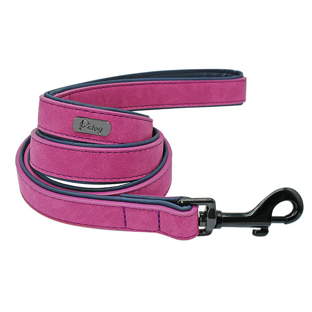 Leather Custom Personalized Pet Tag ID Name Collar/Leash