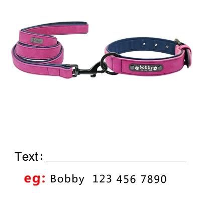 Leather Custom Personalized Pet Tag ID Name Collar/Leash