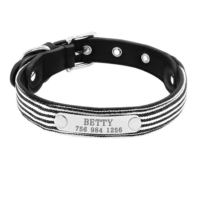 Engraved Pet ID Tag Collars Small Cats Dogs