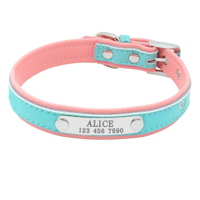 Engraved Pet ID Tag Collars Small Cats Dogs