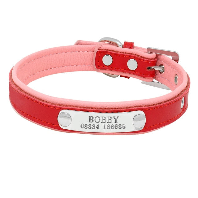 Engraved Pet ID Tag Collars Small Cats Dogs