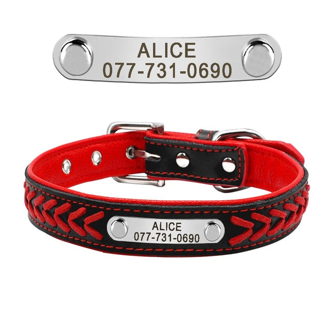 Engraved Pet ID Tag Collars Small Cats Dogs
