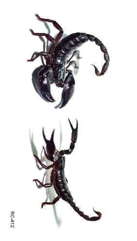 Halloween 3D Spider Scorpion Temporary Body Tattoo