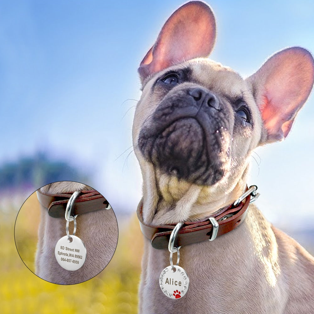 Paw Custom Dog Tag Pet Collar ID Name Tags