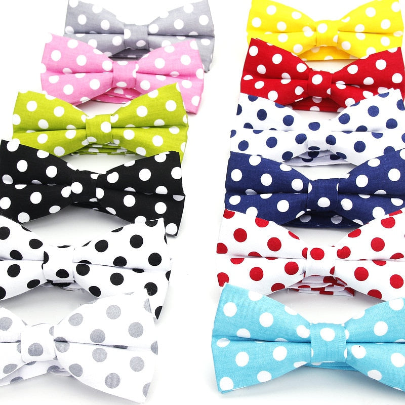 Mens Classic Polka Dot Bowtie Gift