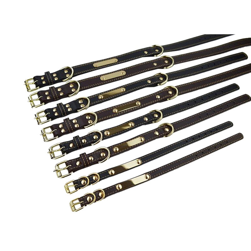 Personalized Engraved Leather Dog Cat Collar Pet Name ID Tag Black Brown