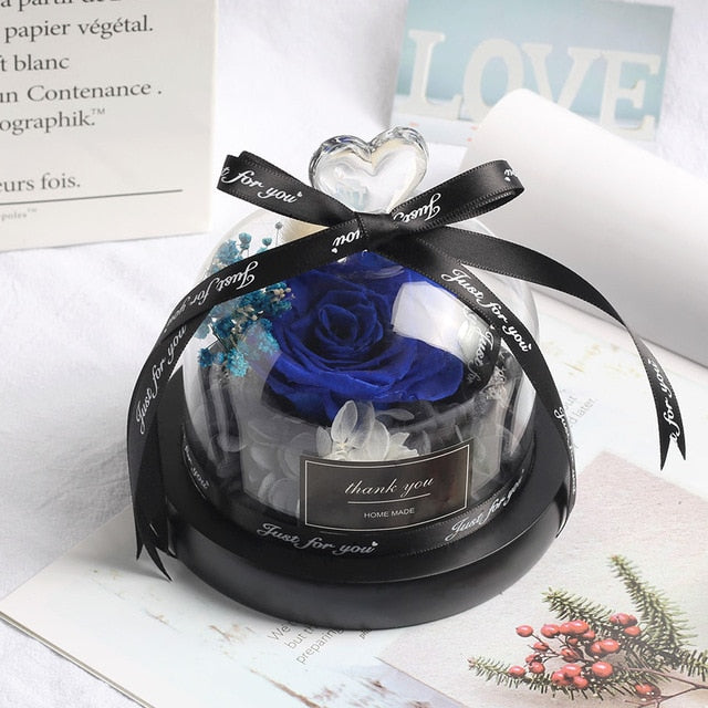 Rainbow Glass Dome Rose LED Beauty Beast Preserved Rose