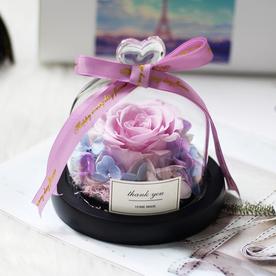 Rainbow Glass Dome Rose LED Beauty Beast Preserved Rose