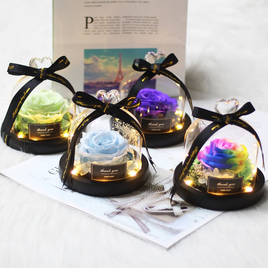 Rainbow Glass Dome Rose LED Beauty Beast Preserved Rose