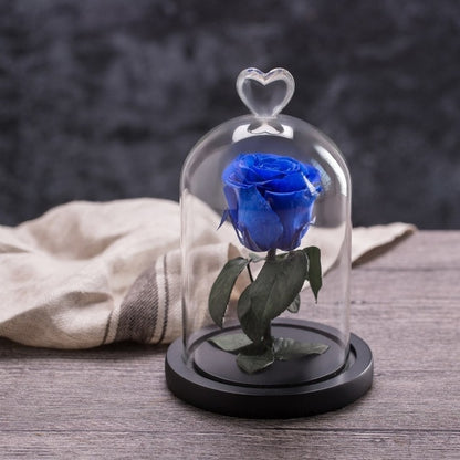 Eternal Rose Glass Black Case Artificial Flower Gift Home Decoration