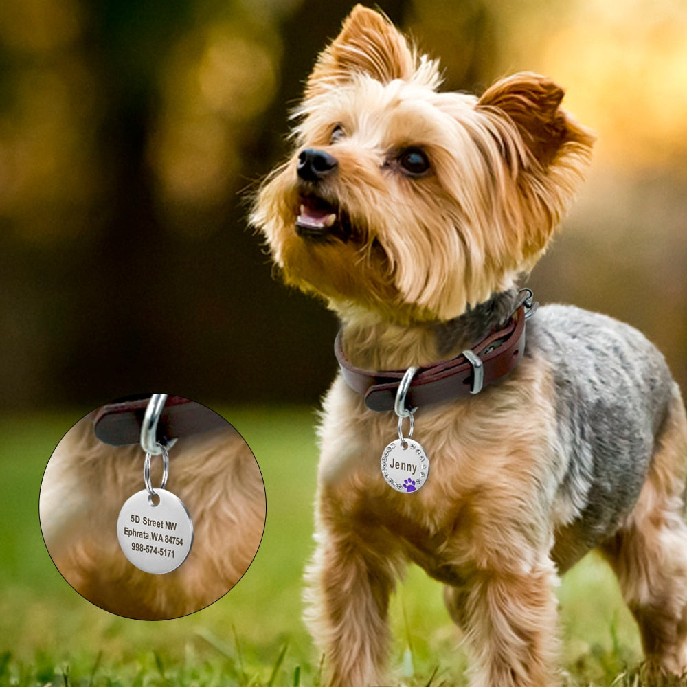 Bling Dog Tag Personalized Pet Name ID