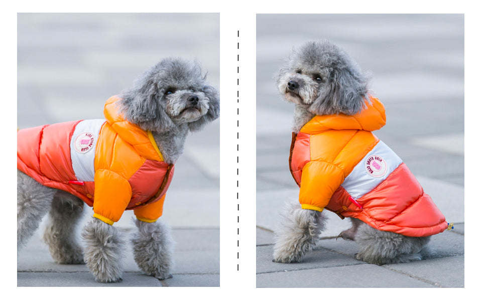 Winter Pet Clothes Dog Jacket Thick Cotton Coat