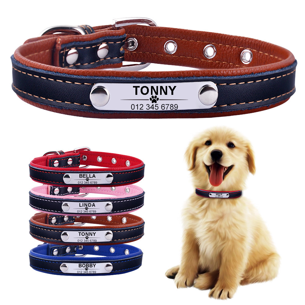 Personalized Leather Dog Collar Tag ID Name