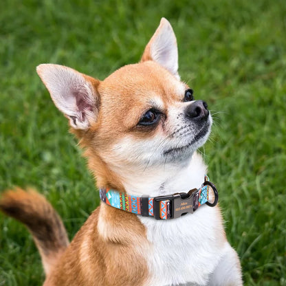 Colorful Pet Collar Personalized ID Tag Adjustable