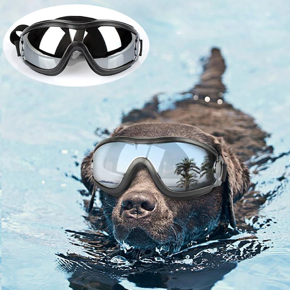 Dog Swimming Sunglasses Accessories