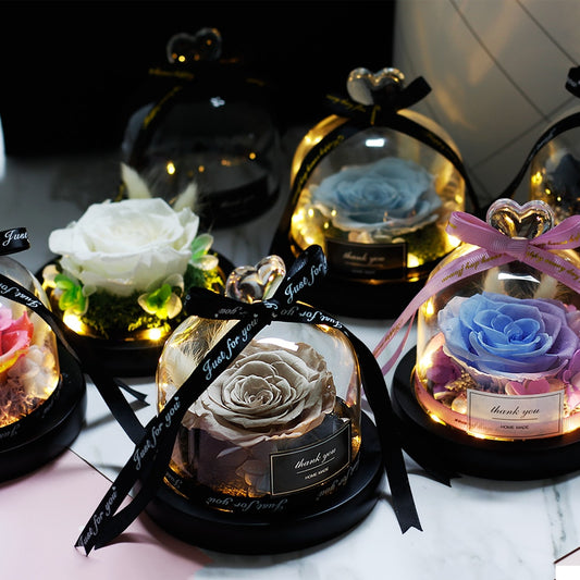 Beauty and Beast Eternal Rose Night Light Glass Dome