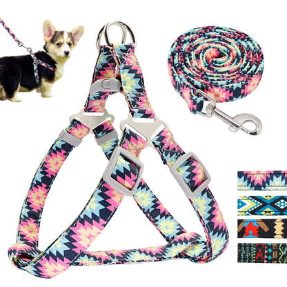 Colorful Adjustable Nylon Dog Harness Leash Set