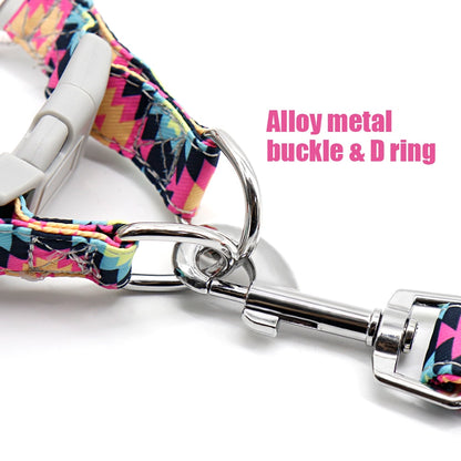 Colorful Adjustable Nylon Dog Harness Leash Set