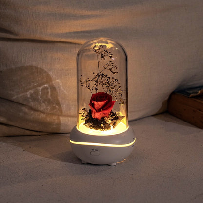 Eternal Rose Dome Fragrance Essential Oil Lamp Gift Light Decor