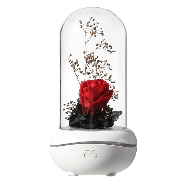 Eternal Rose Dome Fragrance Essential Oil Lamp Gift Light Decor