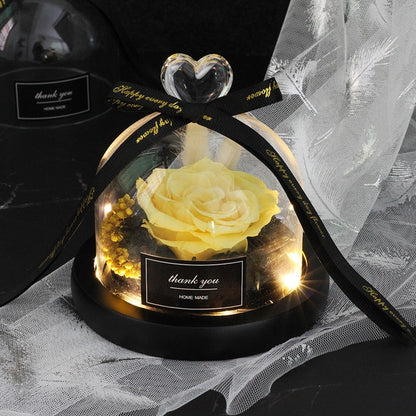 Rainbow Glass Dome Rose LED Beauty Beast Preserved Rose