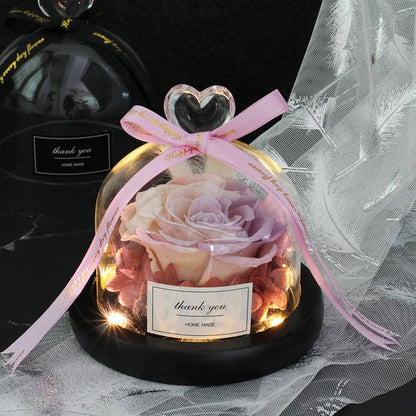 Rainbow Glass Dome Rose LED Beauty Beast Preserved Rose