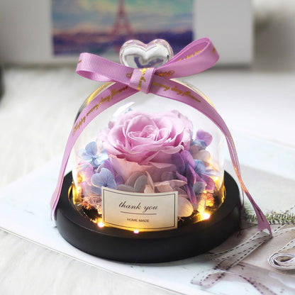 Rainbow Glass Dome Rose LED Beauty Beast Preserved Rose