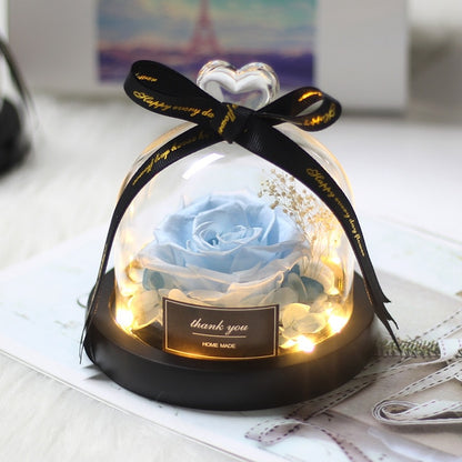 Rainbow Glass Dome Rose LED Beauty Beast Preserved Rose