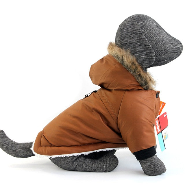 Warm Winter Waterproof Jacket For Small Pet Dog