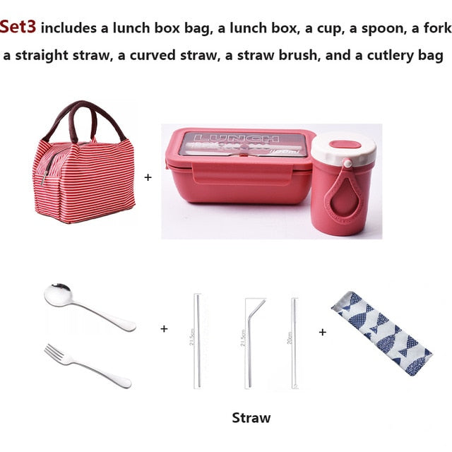 Portable Lunch Box with Compartments