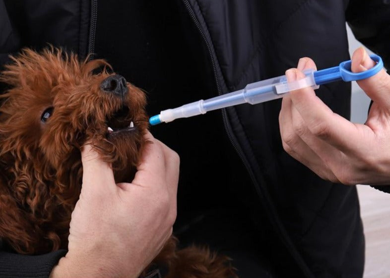 Pet Syringe Tablet Medicine Dispenser