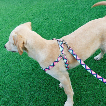 Colorful Adjustable Nylon Dog Harness Leash Set
