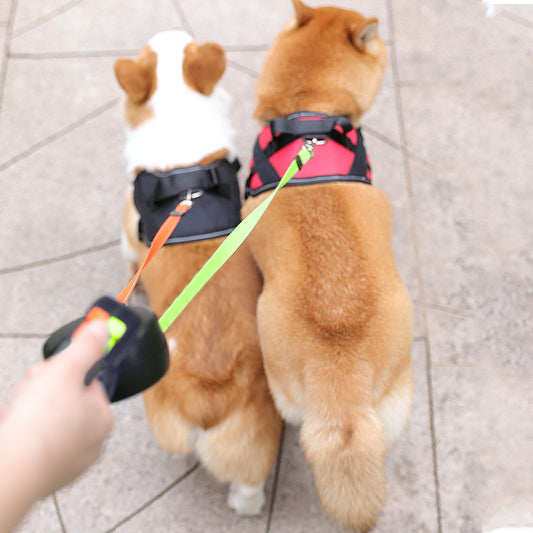3 in 1 360 Degree Double Head Dog Traction Leash