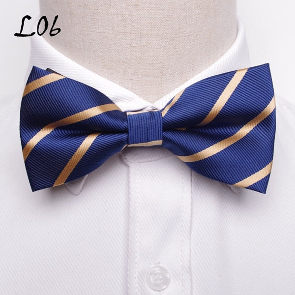 Polka Dots Stripes Mens Bowtie